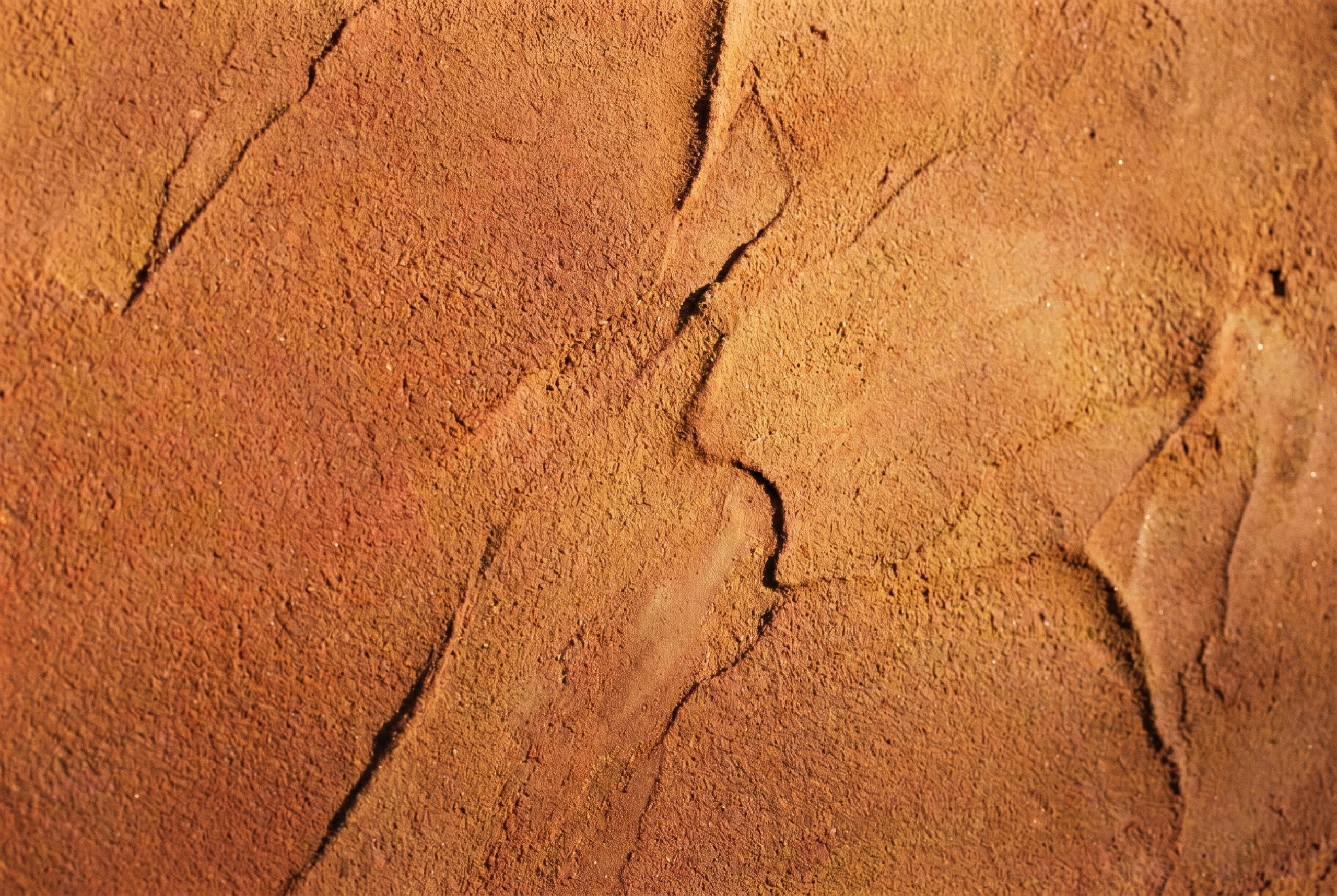 Close-up of hand-finished lime plaster catching warm light.