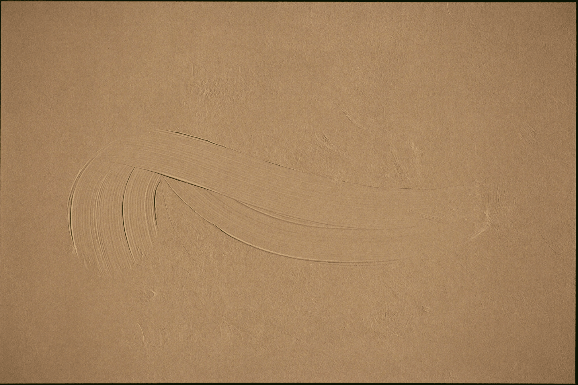 Close-up of hand-finished lime plaster catching warm light.